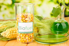 Chelsea biofuel availability
